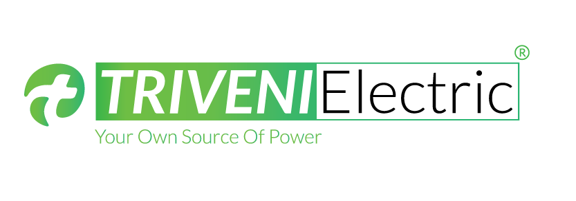 Triveni Electric Logo